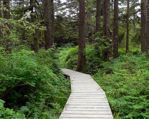 Hiking Trails