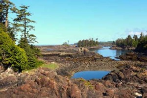 Hiking Trails between Ucluelet and Tofino